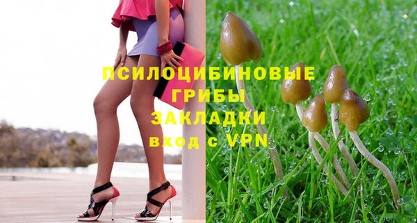 прущий лед Алексеевка