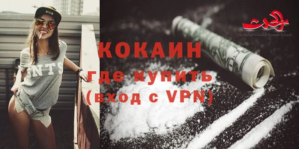 твердый Алексин