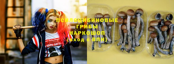 ешки Алзамай