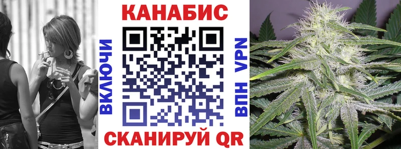 как найти   Чадан  МАРИХУАНА марихуана 